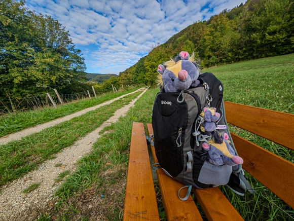 Klein Viki, mini Christopher und Baby Viki lugen neugierig aus einem Rucksack auf einer Holzbank am Feldrand vor dem Aufstieg von Gosbach.