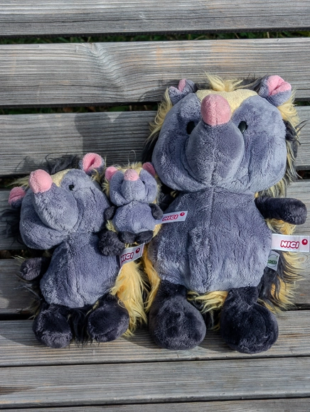 Nahaufnahme von Baby Viki, mini Christopher und Klein Viki, wie sie Seite an Seite auf dem Holzbrett der Wanderbank sitzen.