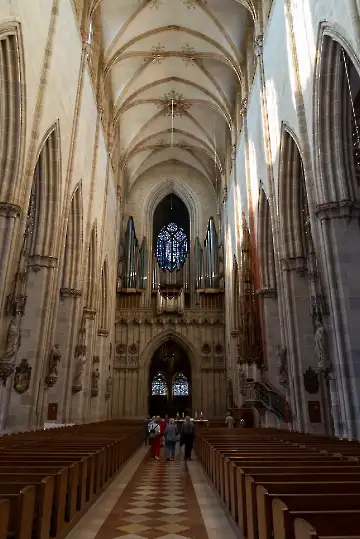 Münsterdach Führung-26