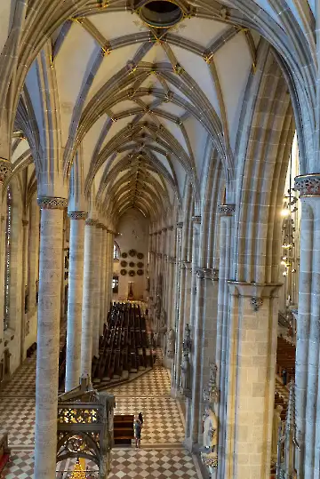 Münsterdach Führung-46