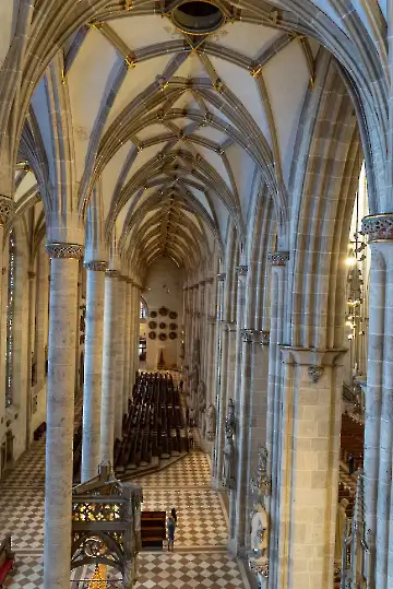 Münsterdach Führung-47