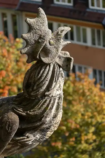 Münsterdach Führung-60