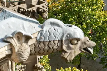 Münsterdach Führung-65