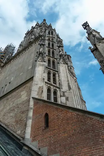 Münsterdach Führung-67