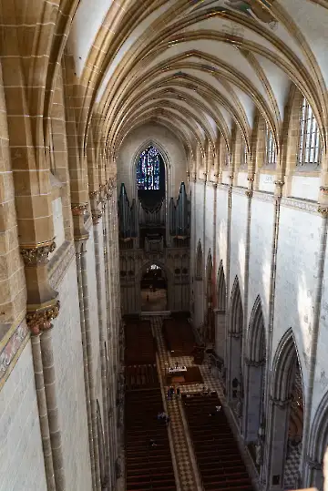 Münsterdach Führung-72