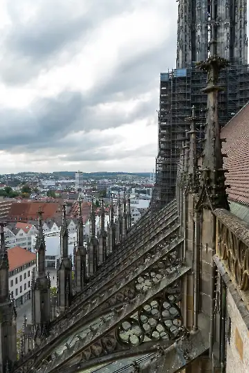Münsterdach Führung-80