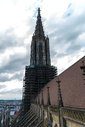 Münsterdach Führung-82