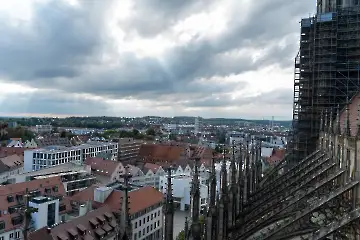 Münsterdach Führung-84