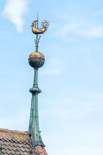 Münsterdach Führung-94