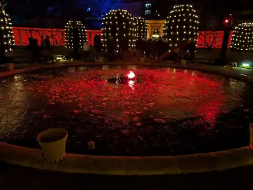 Christmas Garden-100