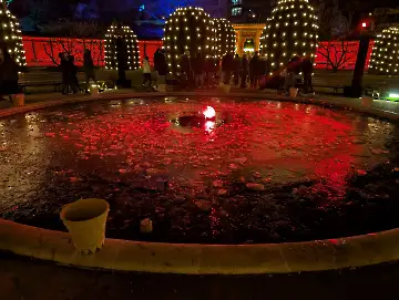 Christmas Garden-101