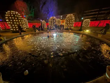 Christmas Garden-102