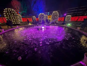 Christmas Garden-103