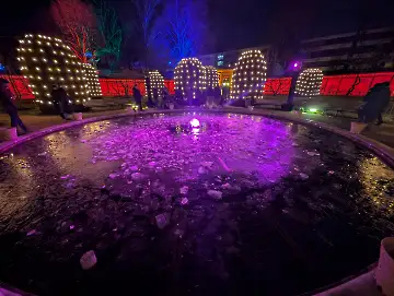 Christmas Garden-104