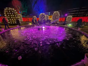 Christmas Garden-105