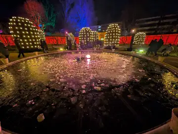 Christmas Garden-106