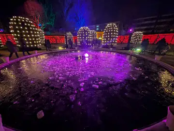 Christmas Garden-107