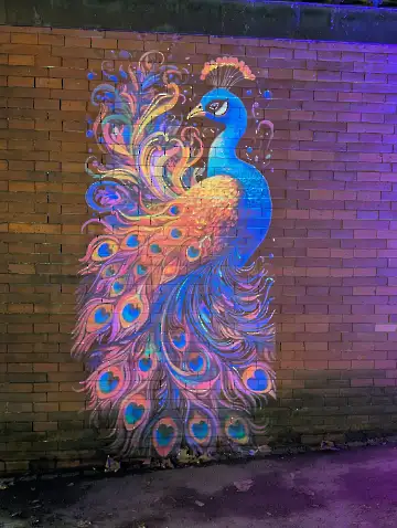 Christmas Garden-108