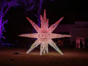 Christmas Garden-109