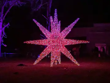 Christmas Garden-110