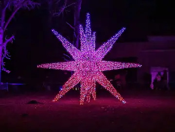 Christmas Garden-111