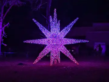 Christmas Garden-112