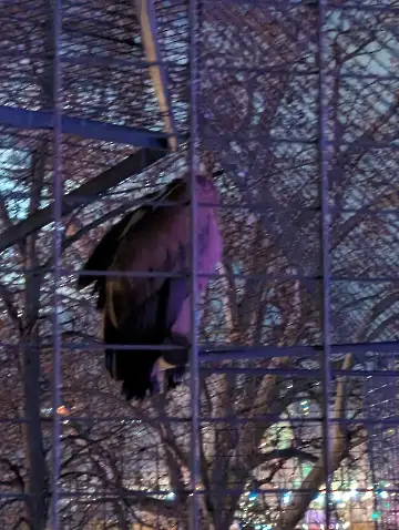 Christmas Garden-121