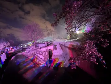 Christmas Garden-122