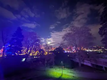 Christmas Garden-123