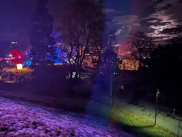 Christmas Garden-125