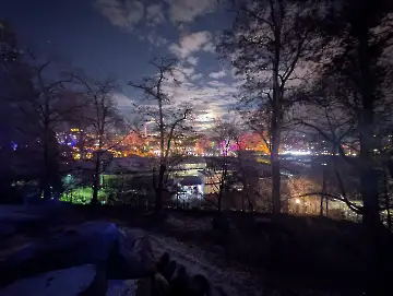 Christmas Garden-130