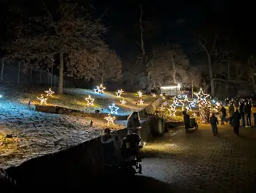 Christmas Garden-134