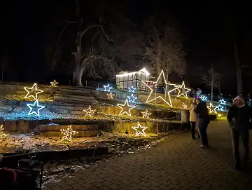 Christmas Garden-135