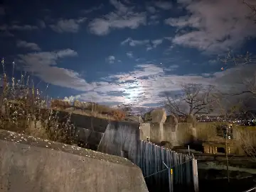 Christmas Garden-136