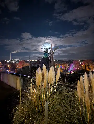 Christmas Garden-143