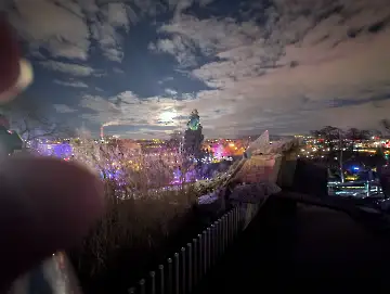 Christmas Garden-146