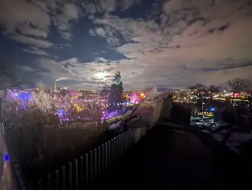 Christmas Garden-147