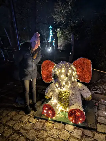 Christmas Garden-154