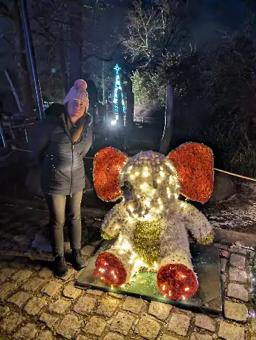 Christmas Garden-155