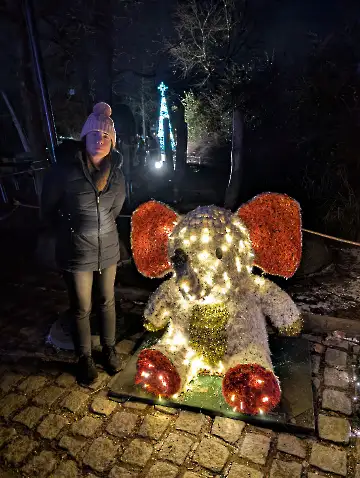 Christmas Garden-156