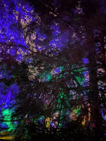 Christmas Garden-161