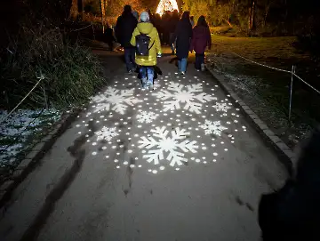 Christmas Garden-162