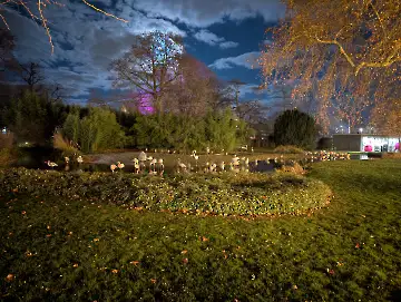 Christmas Garden-166