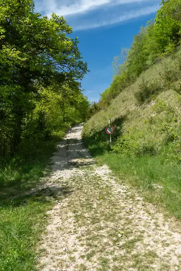 Maibaum Wanderung-18