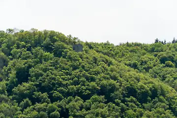 Maibaum Wanderung-2