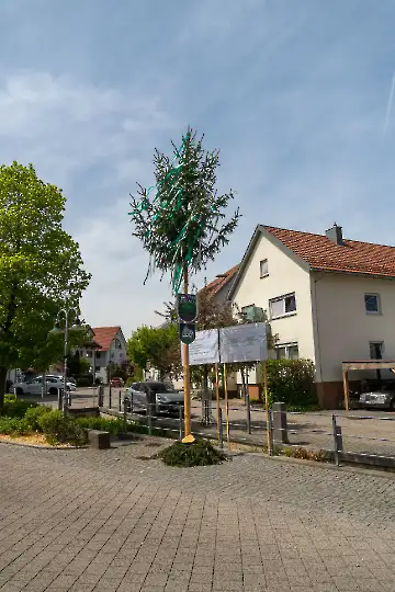 Maibaum Wanderung-30