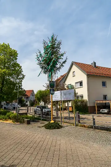 Maibaum Wanderung-31