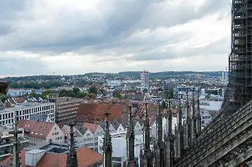 Münsterdach Führung-115