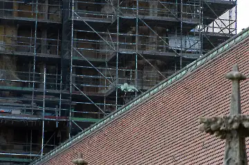 Münsterdach Führung-116