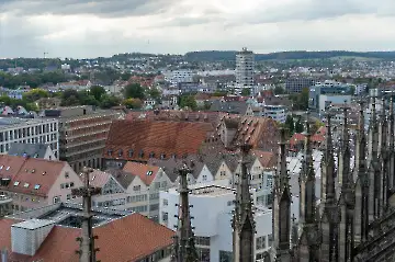 Münsterdach Führung-124